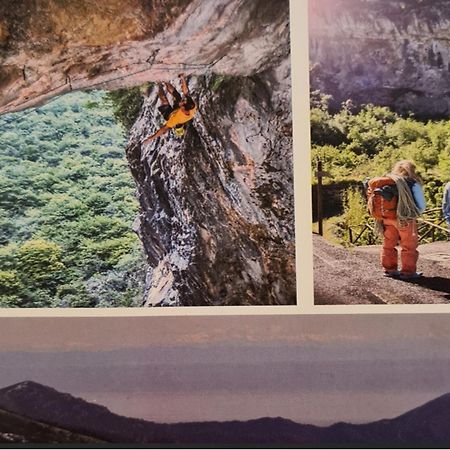La Terrazza Sui Limoni - Suite Degli Ospiti - Mare, Escursioni A Piedi O Bike, Falesie Per Arrampicate Cisano sul Neva Exterior foto